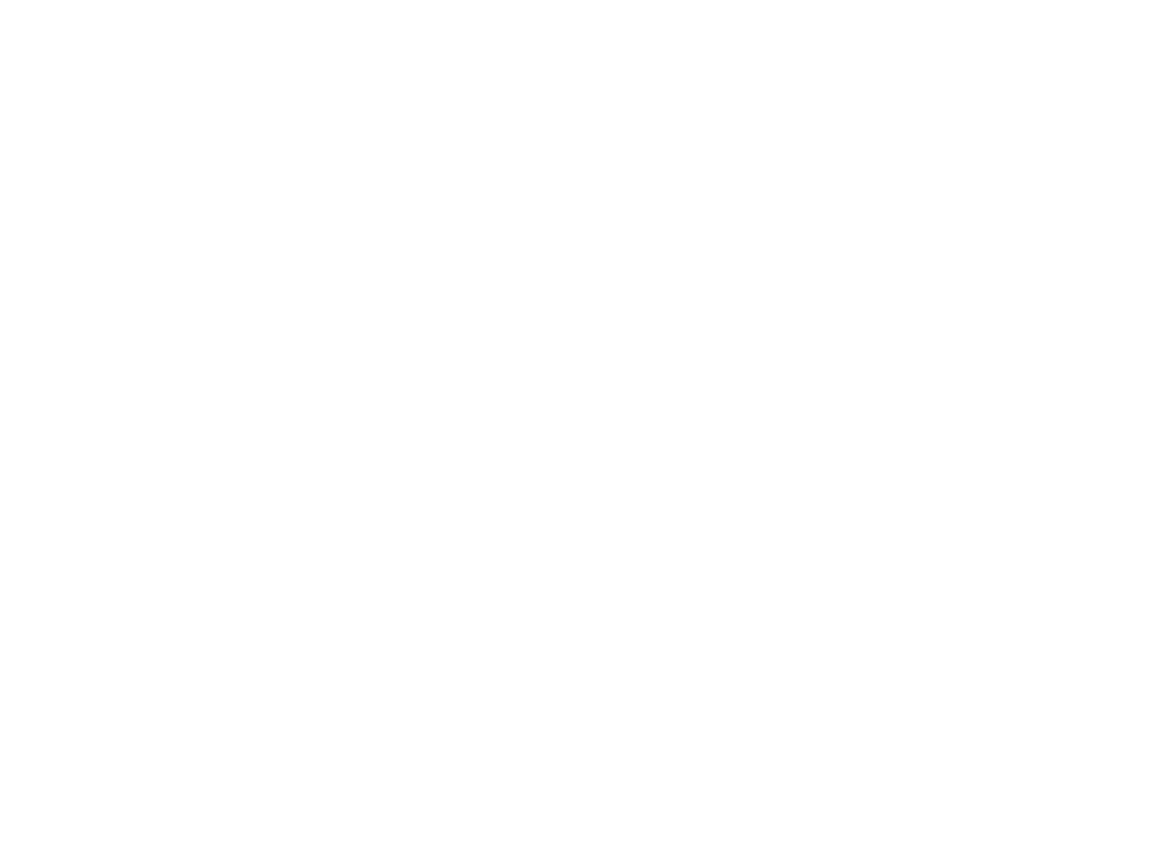 logo1